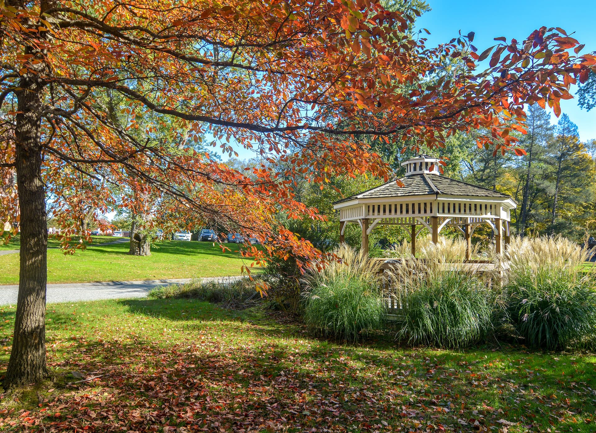 Home Notre Dame Health Care