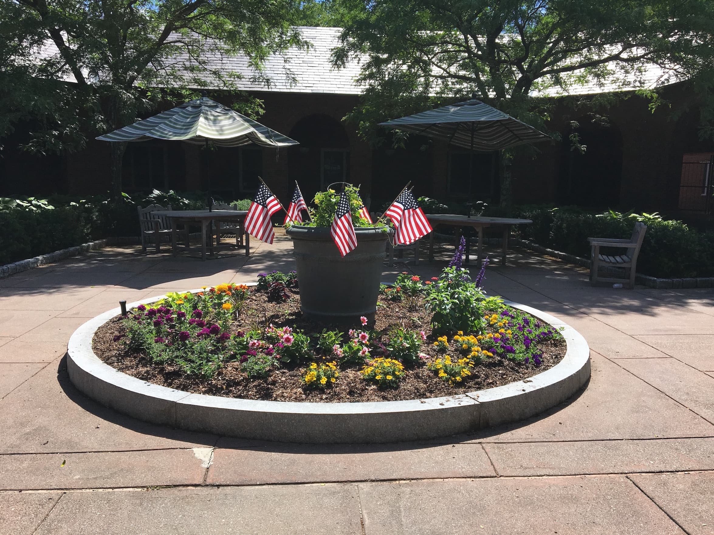 Flag Day photo