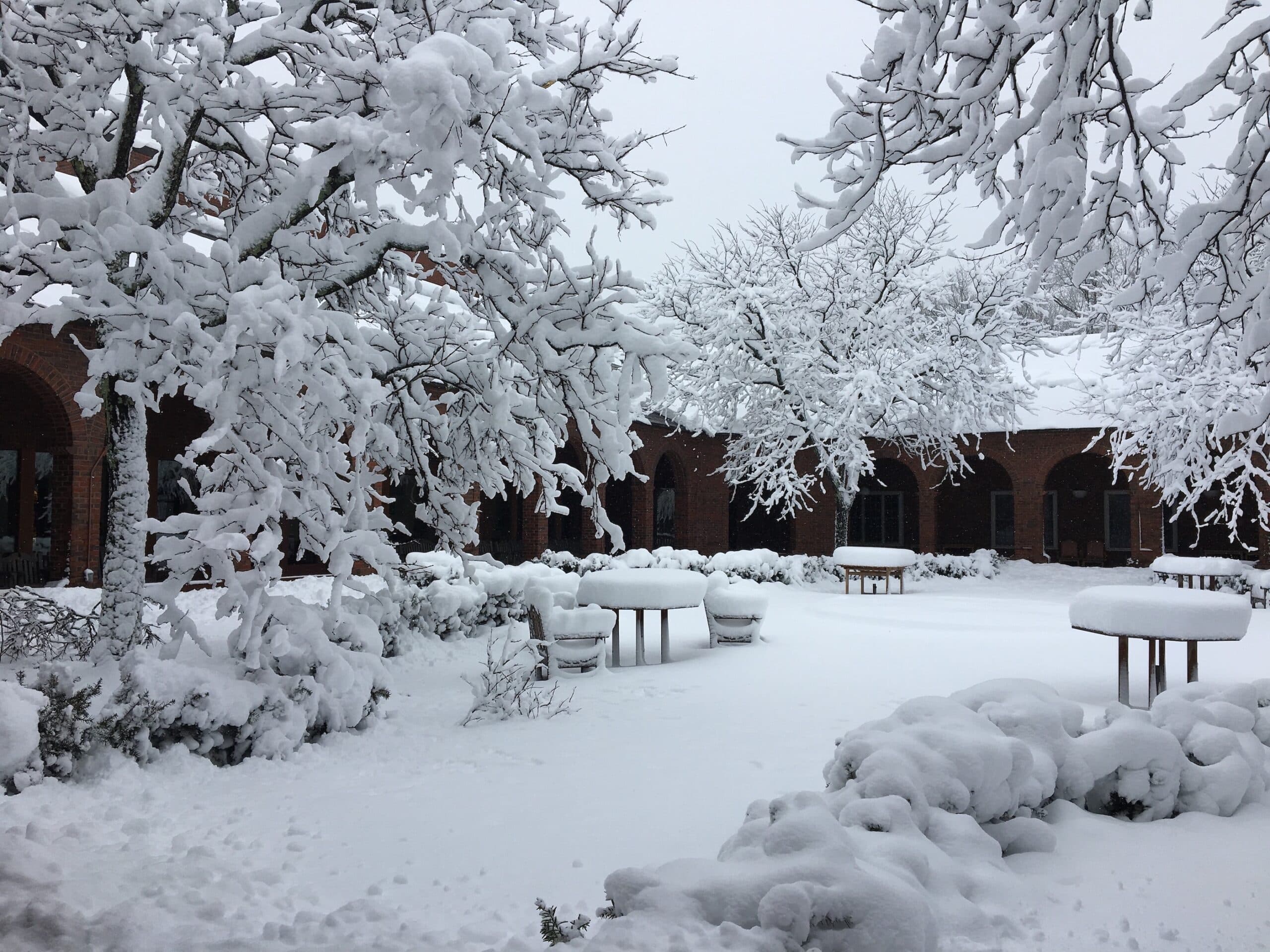 court yard winter March