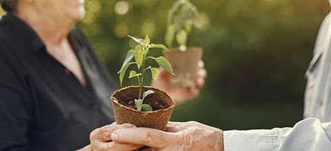 du Lac Assisted Living 