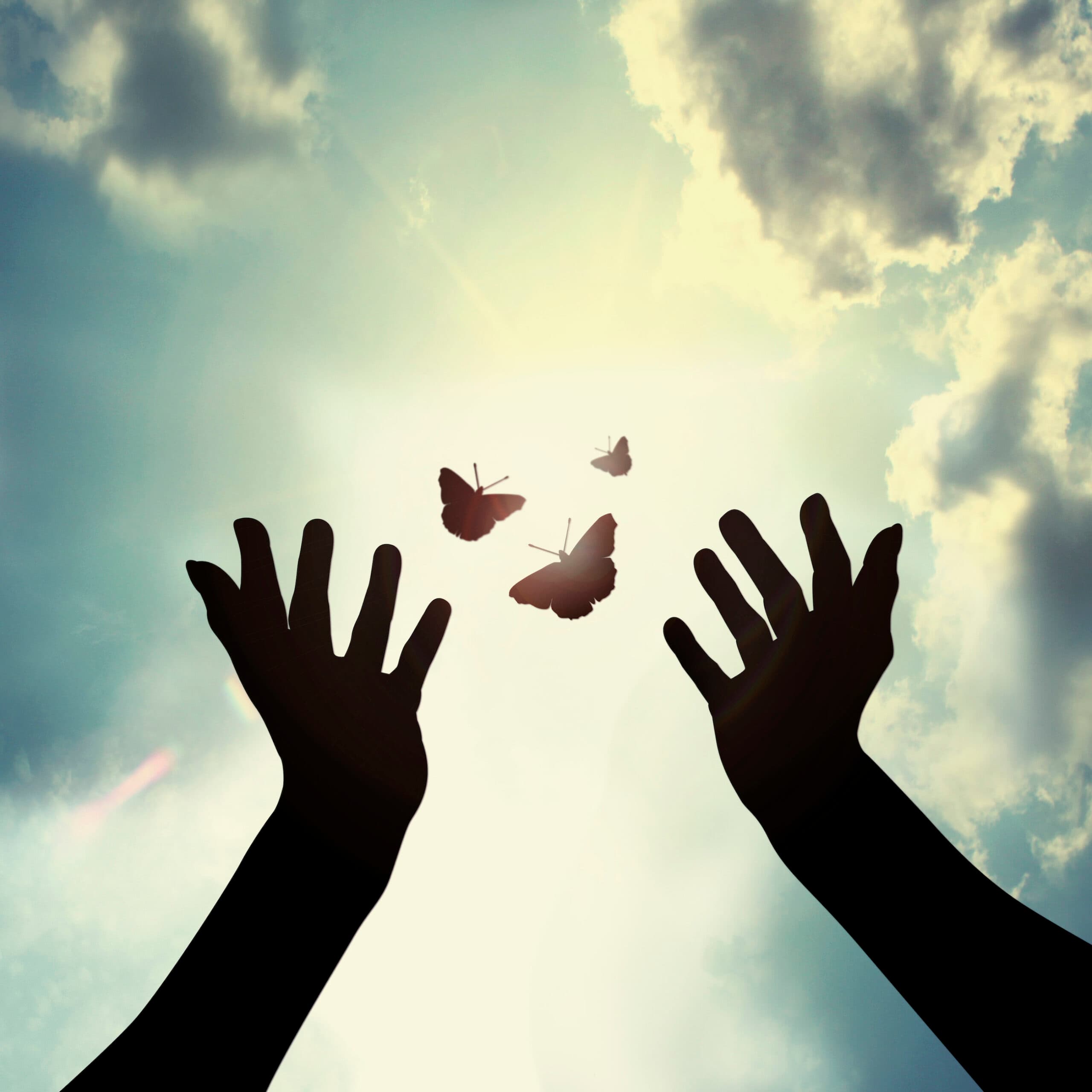 Hand with butterfly in sky