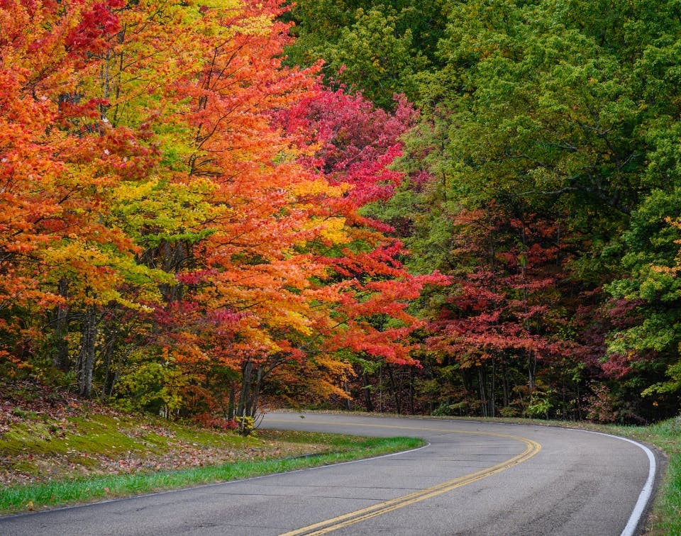 breathtaking-autumn-view-road-surrounded-by-beautiful-colorful-tree-leaves