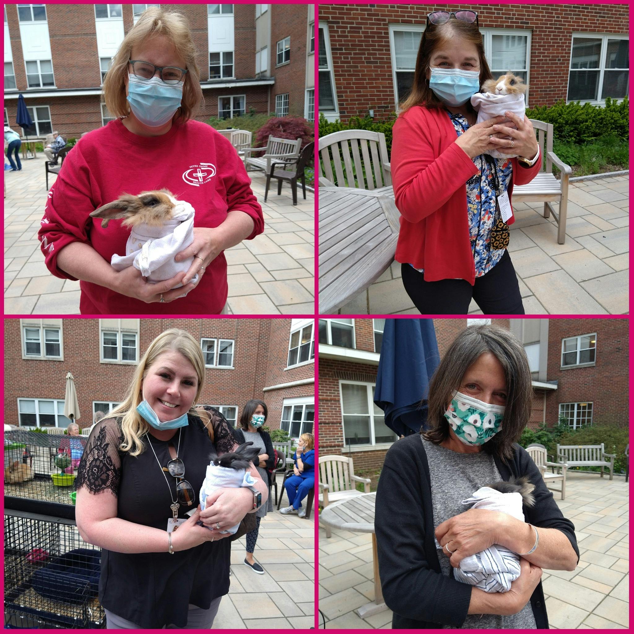 Staff Enjoyed a Visit From the Baby Animals